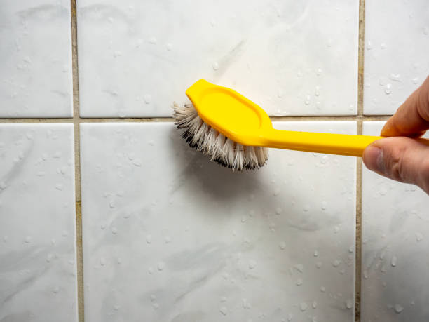 Best Best Mold Removal Companies  in Brooklet, GA