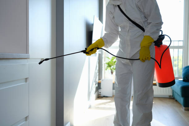 Best Toxic Mold Removal  in Brooklet, GA